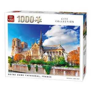 King International (05660) - "Notre Dame de Paris" - 1000 pièces