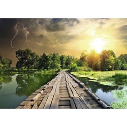 Ravensburger (19538) - "Nature Edition N°3 : Lumière Mystique" - 1000 pièces