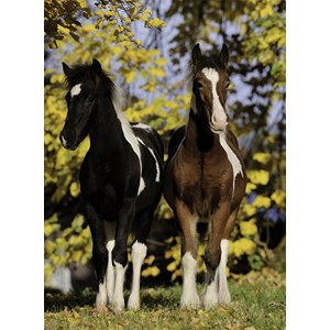 Nathan (86804) - "Horses" - 150 pièces