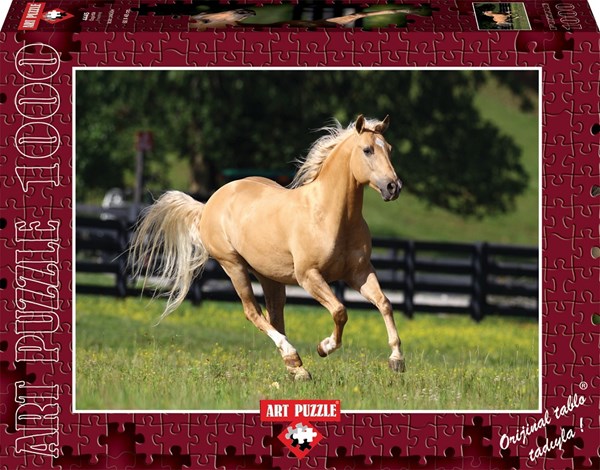 Art Puzzle (4445) - "Liberté" - 1000 pièces