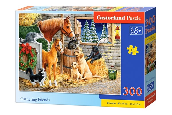 Castorland (B-030255) - "Gathering Friends" - 300 pièces