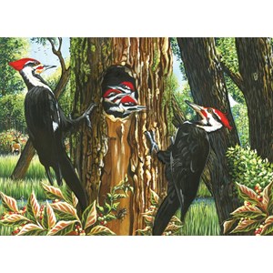 Cobble Hill (51719) - "Pileated Woodpeckers" - 1000 pièces