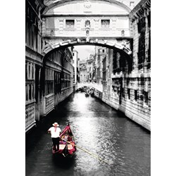 Ravensburger (19472) - "Venise" - 1000 pièces