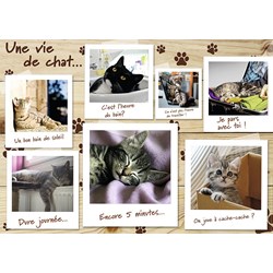 Nathan (87778) - "Une Vie de Chat" - 1500 pièces