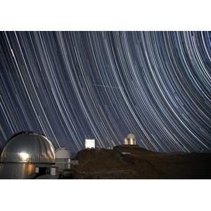 Grafika (00760) - "Est-ce un Oiseau?" - 1000 pièces