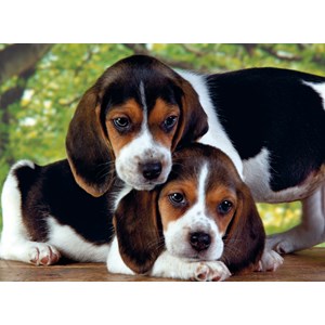 Clementoni (30289) - "Chiots en duo" - 500 pièces