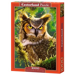 Castorland (C-103577) - "Watching & Waiting, Owl" - 1000 pièces