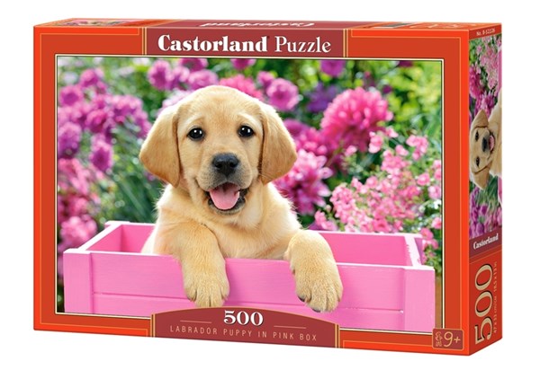 Castorland (B-52226) - "Labrador Puppy in Pink Box" - 500 pièces