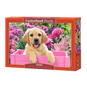 Castorland (B-52226) - "Labrador Puppy in Pink Box" - 500 pièces