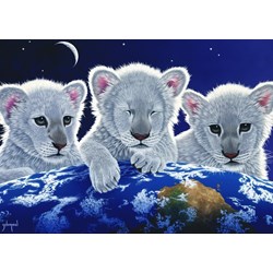 Grafika (T-00404) - Schim Schimmel, William Schimmel: "Secret, Mystery and Hope" - 1000 pièces