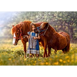 Castorland (B-52509) - "Beauty Within" - 500 pièces