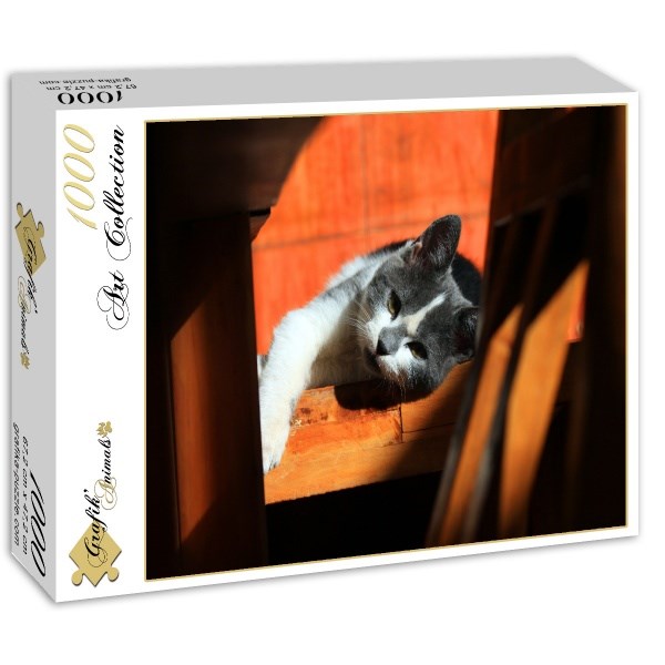 Grafika (01409) - "Chaton" - 1000 pièces