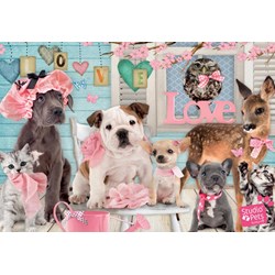 Jumbo (19352) - "True Love" - 1000 pièces