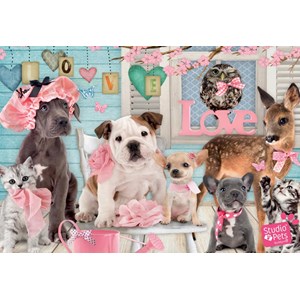 Jumbo (19352) - "True Love" - 1000 pièces