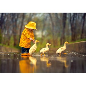 Castorland (B-52264) - "Rainy Day Friends" - 500 pièces