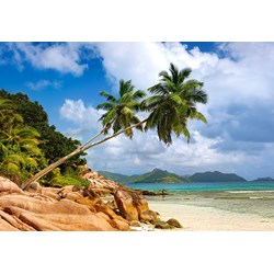 Castorland (C-103713) - "Secret Beach, Seychelles" - 1000 pièces