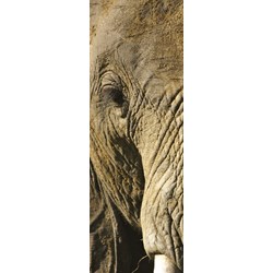 Clementoni (39307) - "Animals" - 500 pièces