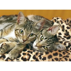 Clementoni (08103) - "Animals" - 500 1000 pièces