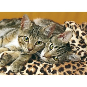 Clementoni (08103) - "Animals" - 500 1000 pièces