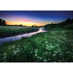 Tactic (40902) - "Summer Night" - 1000 pièces