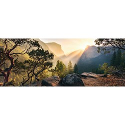 Ravensburger (15083) - "Yosemite Park" - 1000 pièces