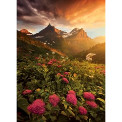 Clementoni (39329) - "As It Fades" - 1000 pièces