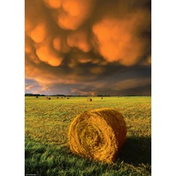 Heye (29550) - "Avant la tempête" - 1000 pièces