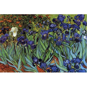 Grafika Kids (00063) - Vincent van Gogh: "Les Iris, 1889" - 100 pièces