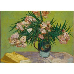 Grafika Kids (00440) - Vincent van Gogh: "Oleanders, 1888" - 24 pièces