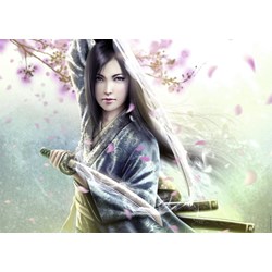 Ravensburger (19036) - "The Legend of the Five Rings" - 1000 pièces