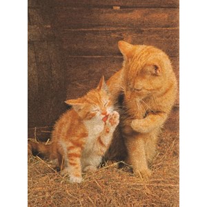 Clementoni (30205) - "Ginger Cats - Cork puzzle" - 500 pièces