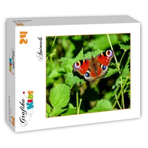 Grafika Kids (01229) - "Papillon" - 24 pièces