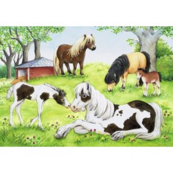 Ravensburger (08882) - "Le Monde du Cheval" - 24 pièces