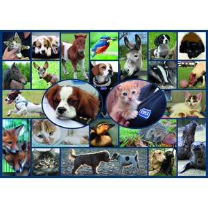 Gibsons (G7086) - "All Creatures Great & Small" - 1000 pièces