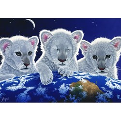 Grafika (02403) - Schim Schimmel: "Secret, Mystery and Hope" - 1000 pièces