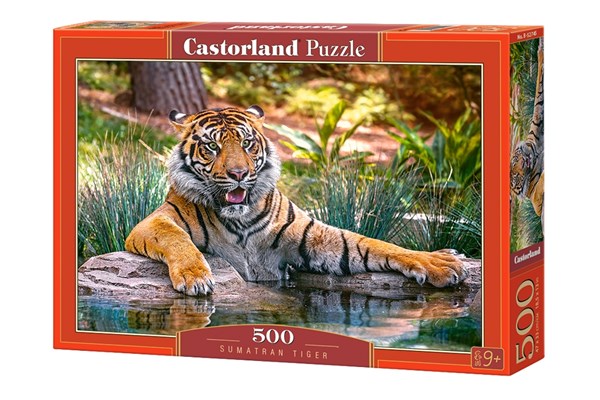 Castorland (B-52745) - "Sumatran Tiger" - 500 pièces