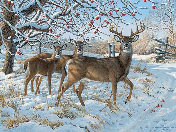 Cobble Hill (52083) - Persis Clayton Weirs: "Winter Deer" - 500 pièces