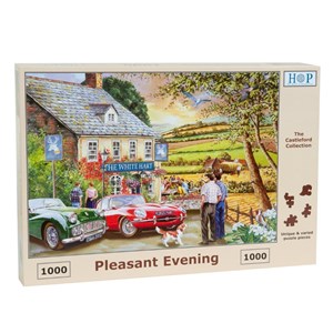 The House of Puzzles (4067) - "Pleasant Evening" - 1000 pièces