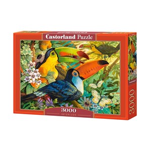 Castorland (C-300433) - David Galchutt: "Interlude" - 3000 pièces