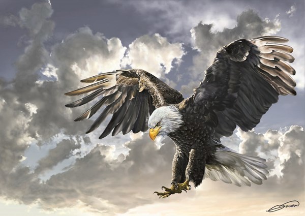 Art Puzzle (4167) - "Black and White" - 500 pièces