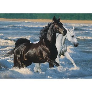 Ravensburger (16276) - "Horses on the Beach" - 1500 pièces
