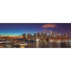 Jumbo (18569) - "Hudson Bridge, New York" - 1000 pièces