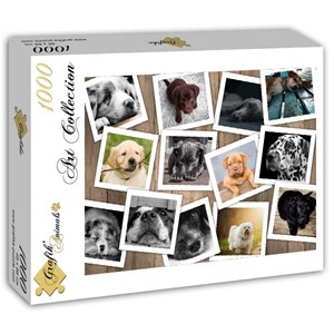 Grafika (T-00380) - "Chiens" - 1000 pièces