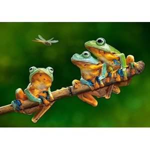 Castorland (B-52301) - "The Frog Companions" - 500 pièces