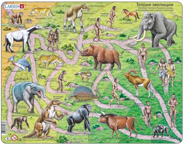 Larsen (HL3-RU) - "The Road From Ape to Human - RU" - 83 pièces