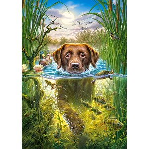 Castorland (B-52882) - "Swimming Dog" - 500 pièces