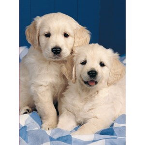 Ravensburger (14238) - "Golden Retriever" - 500 pièces