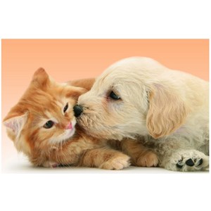 Ravensburger (14172) - "Tender Friendship" - 500 pièces