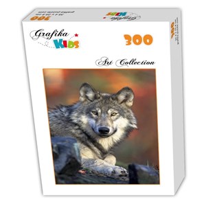 Grafika Kids (00515) - "Loup" - 300 pièces