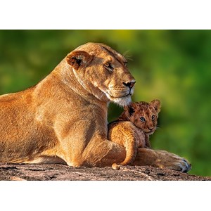 Castorland (B-018246) - "Mom and Me" - 180 pièces